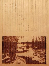 IMG_20181207_023219.jpg