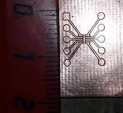 20190116_103830.jpg