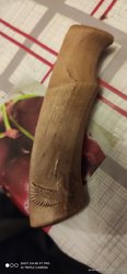 IMG_20201010_213452.jpg