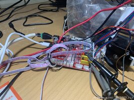 IMG_4429.JPG IMG_4429.JPG