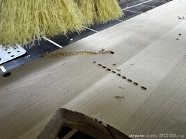 IMG_1704.jpeg