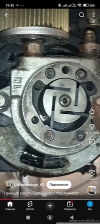 1000037737.jpg